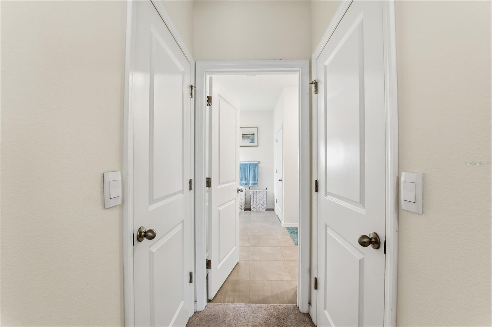 Primary Closet(Hallway)