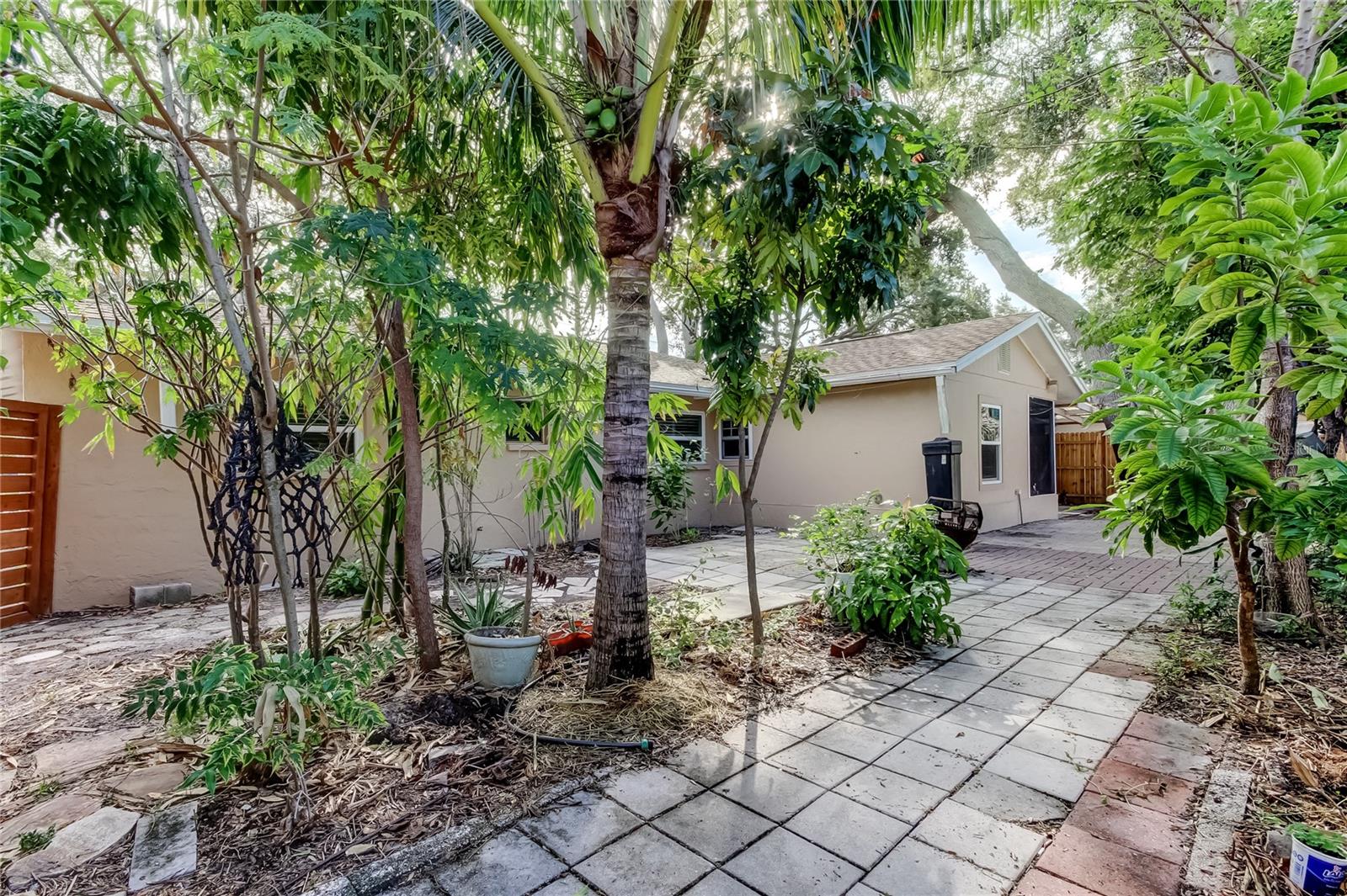 NW corner of back yard.