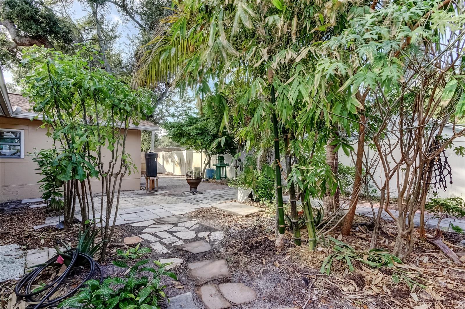 North view of back yard.