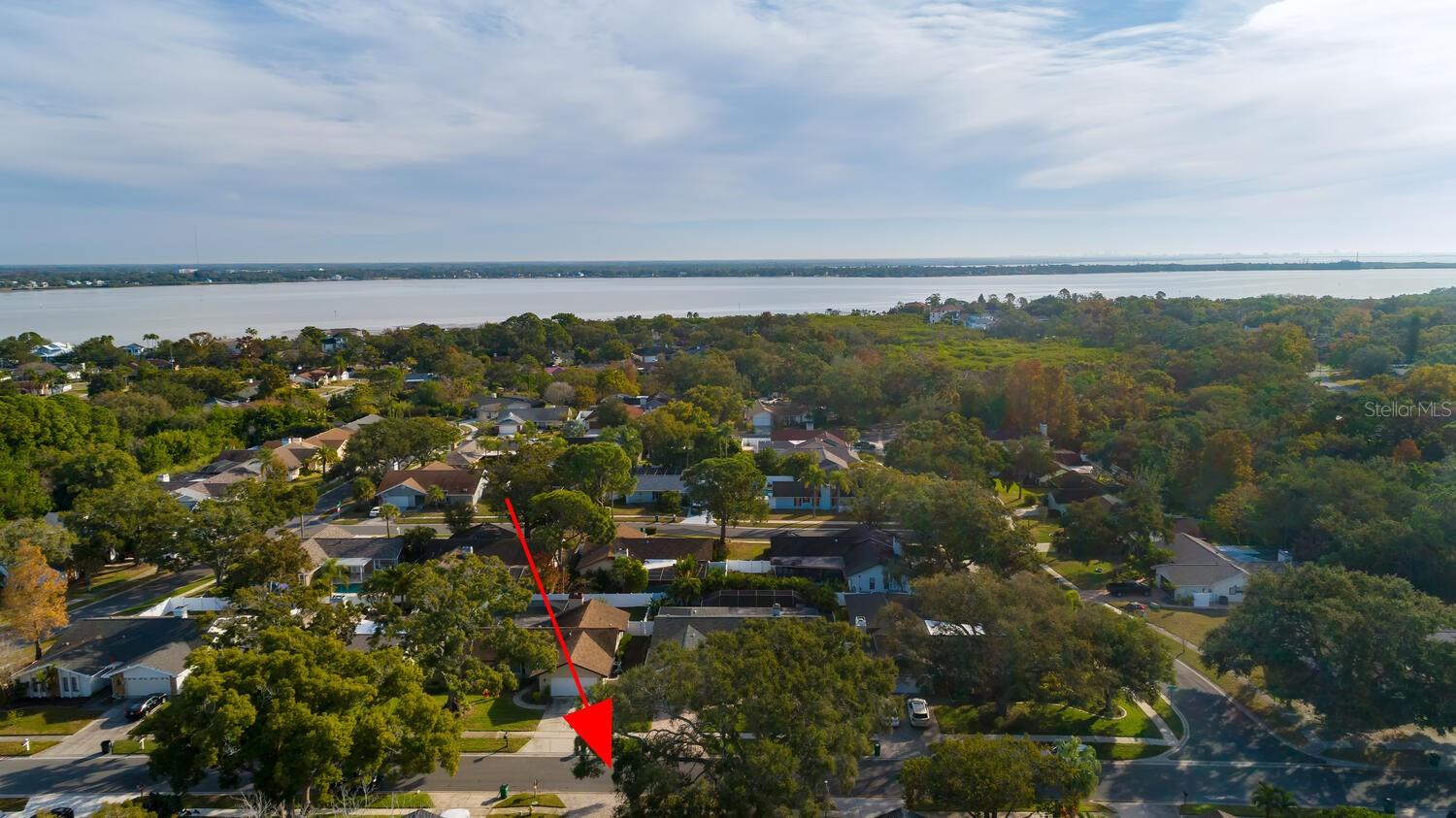 NO FLOOD but only 5 minute bike ride to Philippe Park