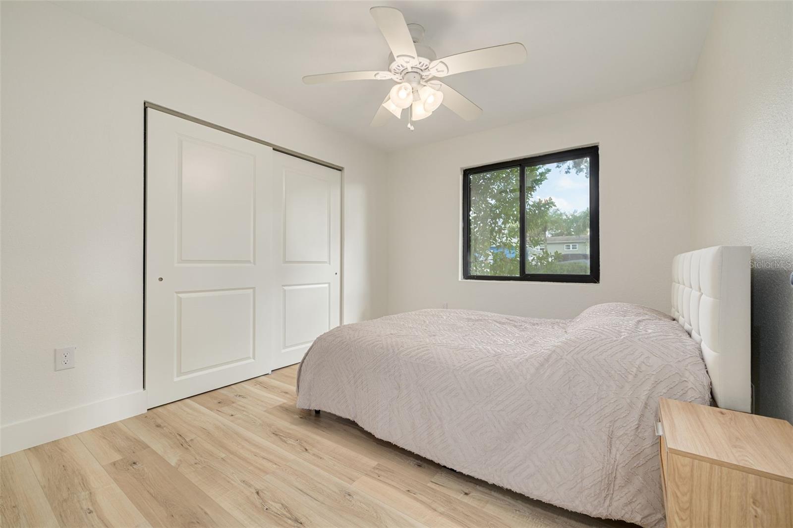 1 of 3 downstairs bedrooms