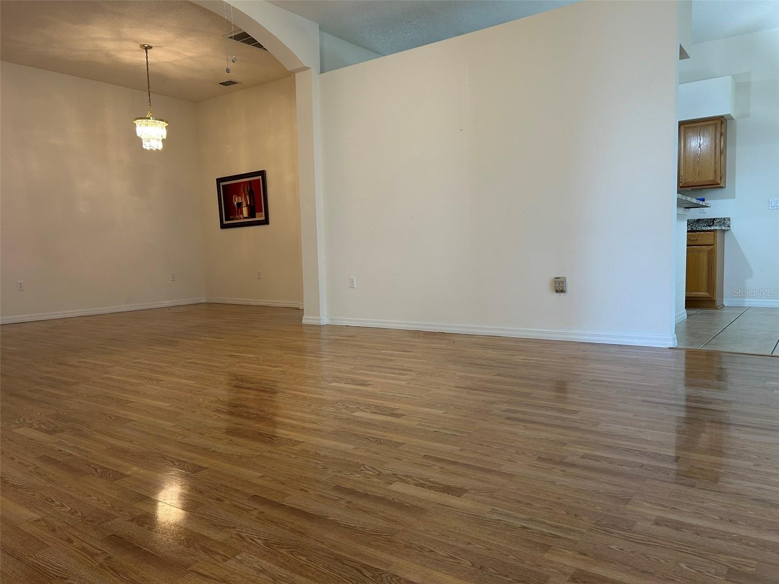 GREAT ROOM / LIVING ROOM