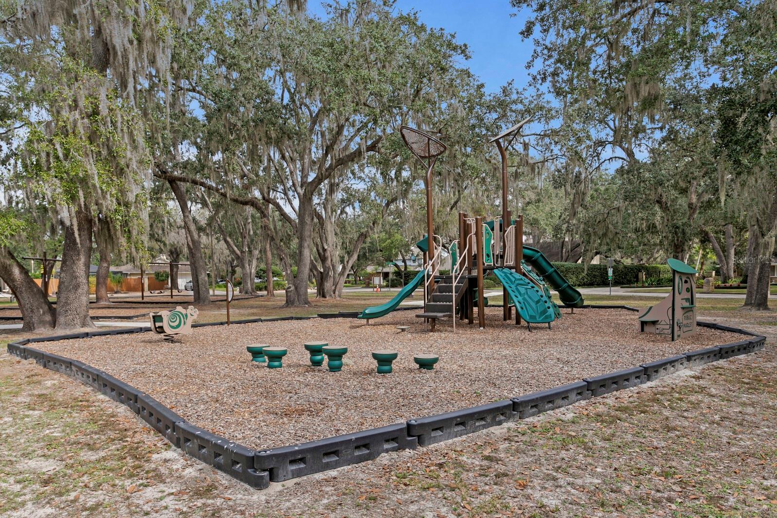 Ben Lomond Playground