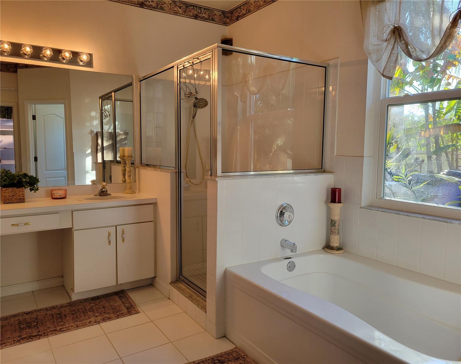 View 2, Master Bath, Overlooking Pond & Conservation