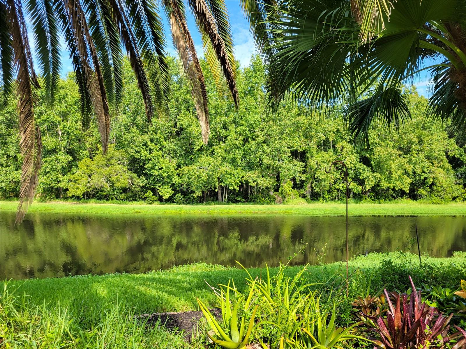 Direct View of Pond & Conservation from Back Yard