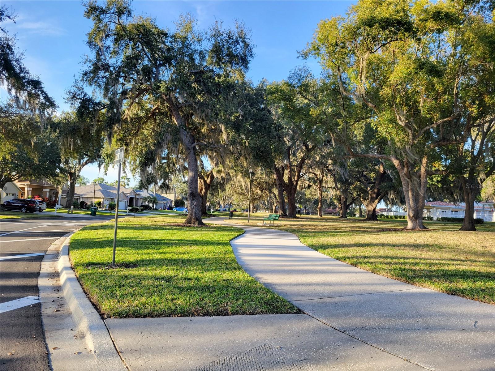 Tree Lined Streets & Green Spaces