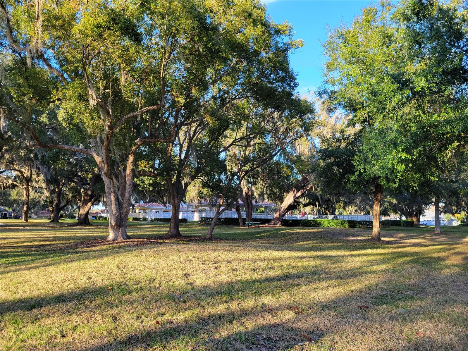 Pool & Clubhouse in Background