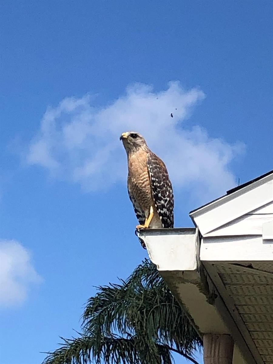 Frequent Visitor to this Home