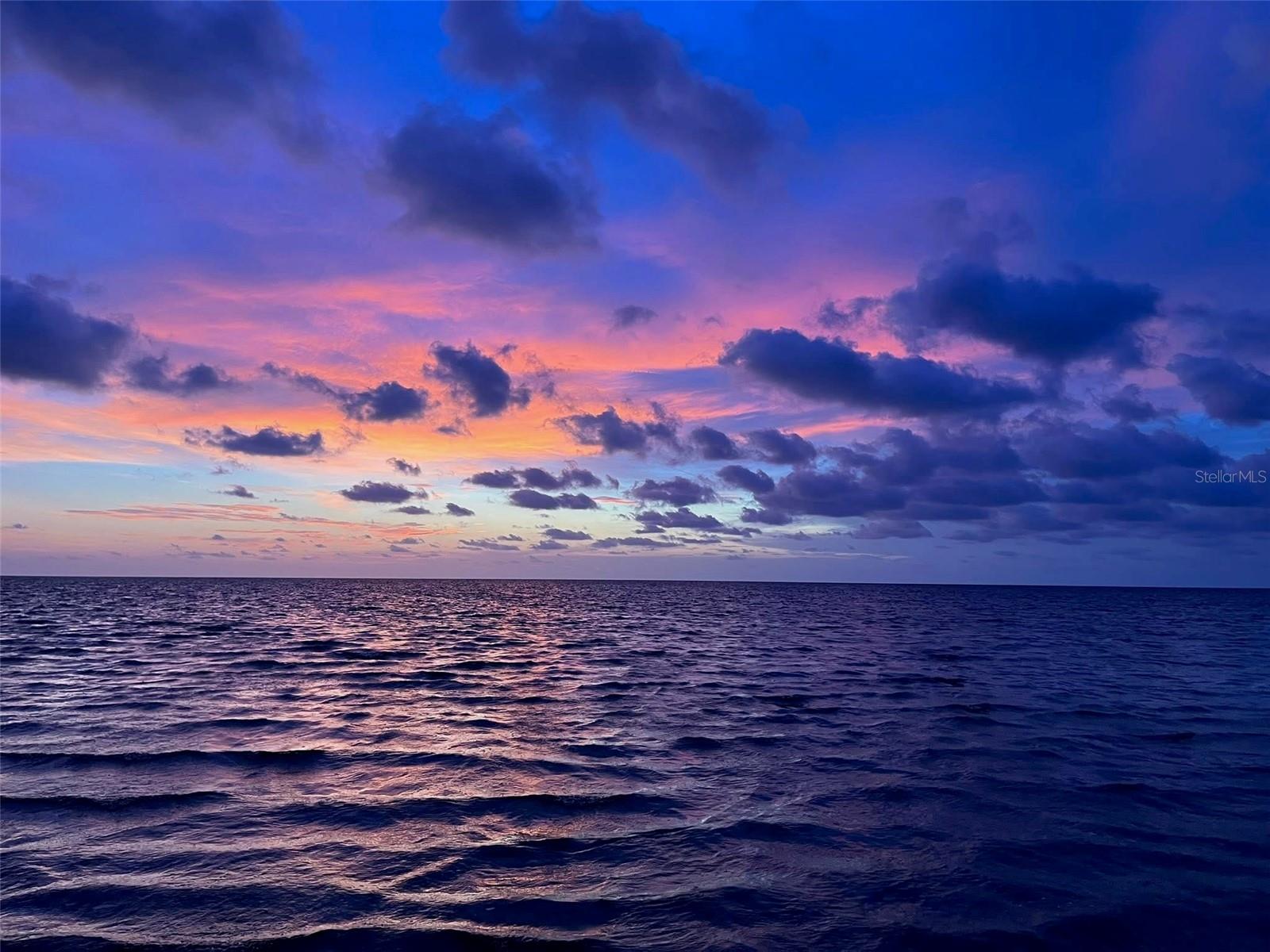 View from Pine Island