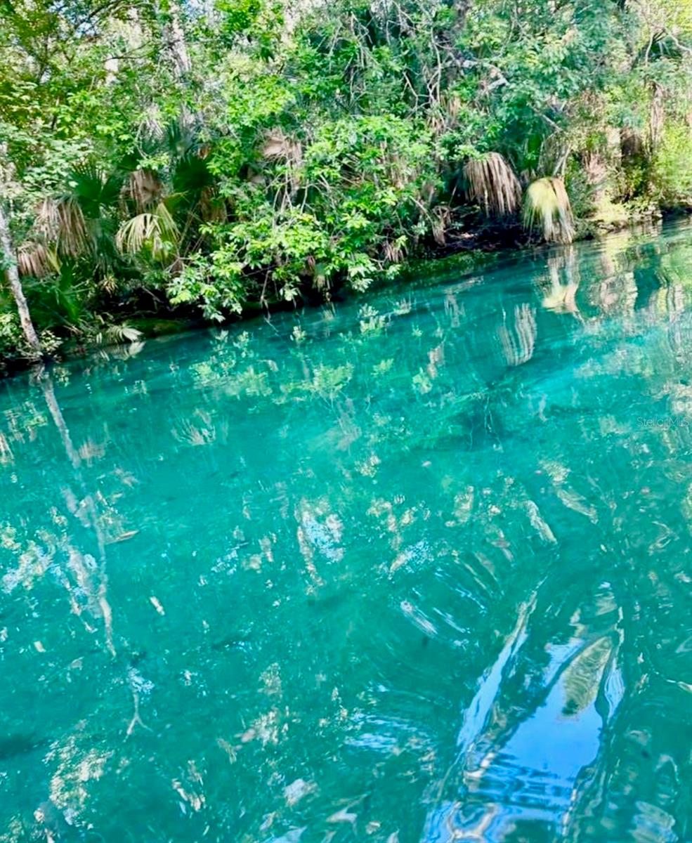 Weeki Wachee Springs