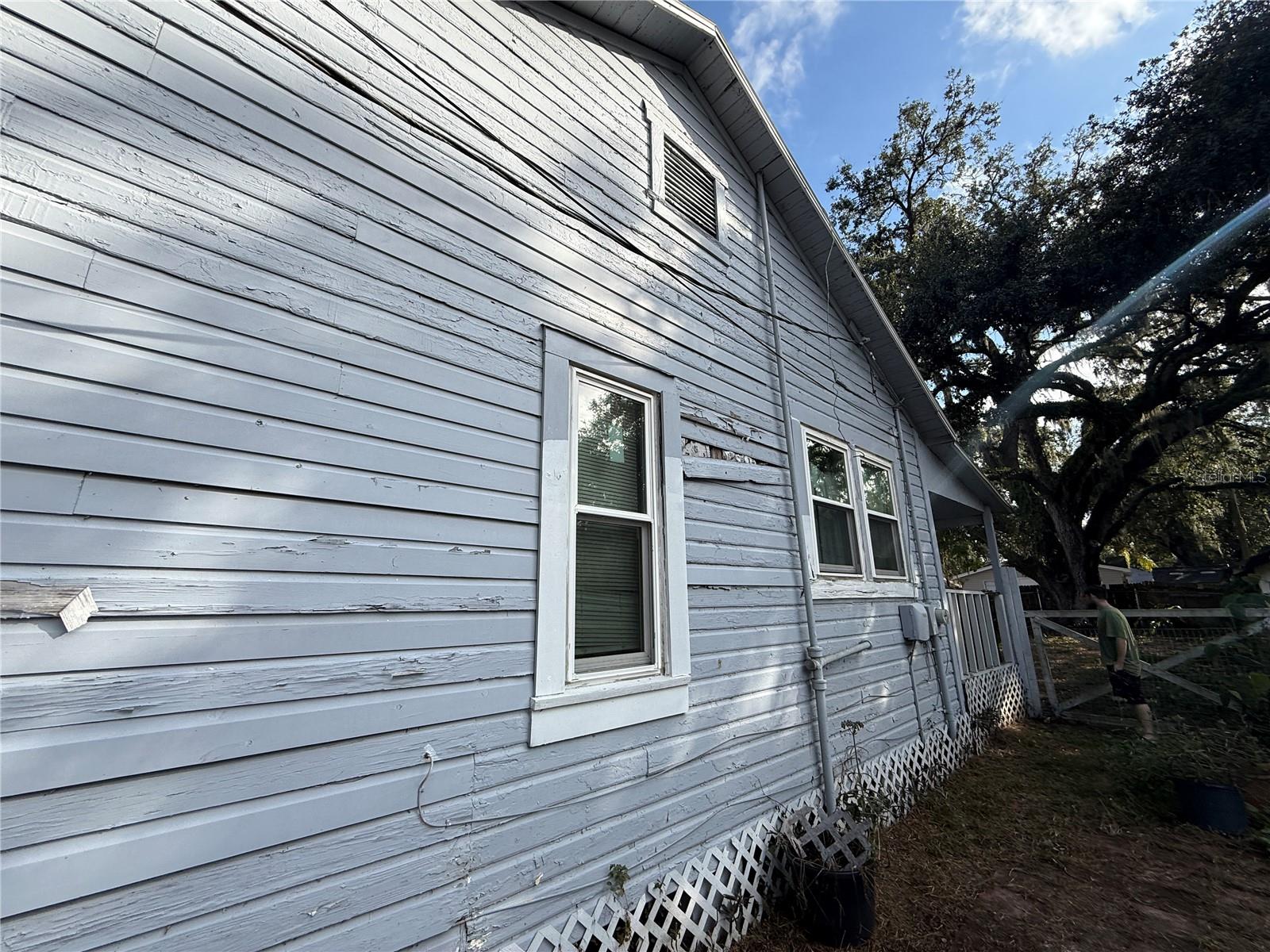 Side of the house damage wood