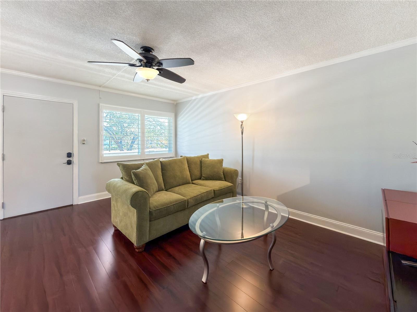 Tons of Natural Light Throughout The Home