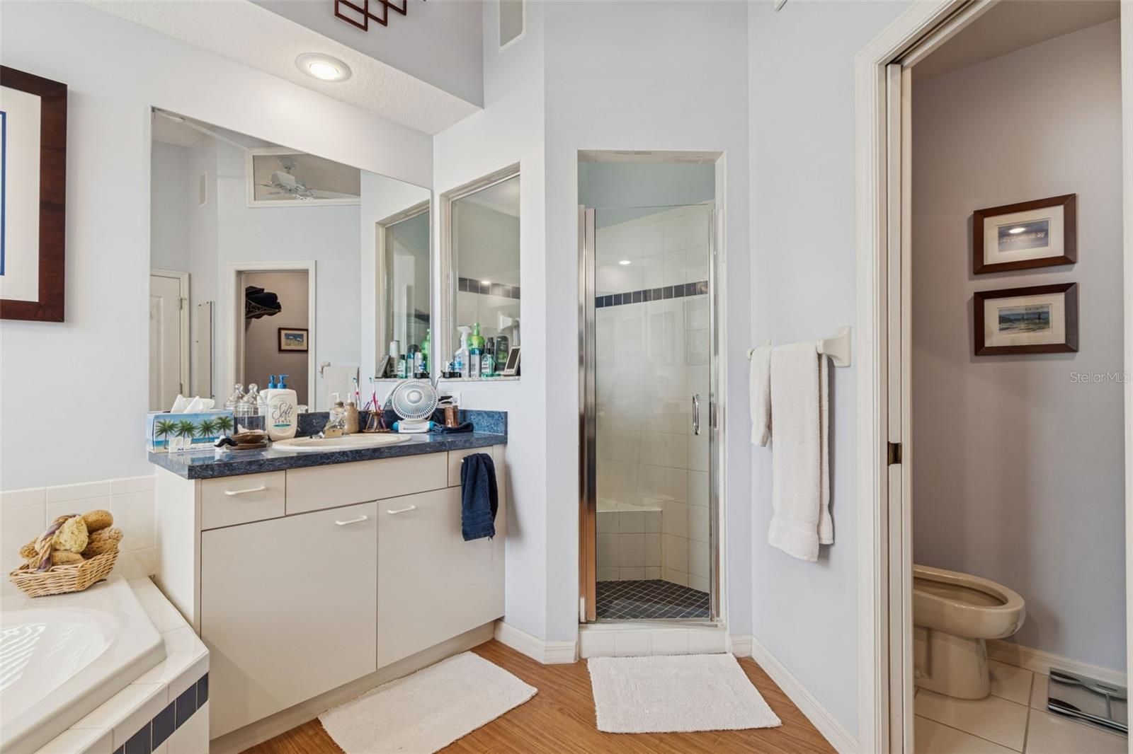 Vanity and Walk in Shower