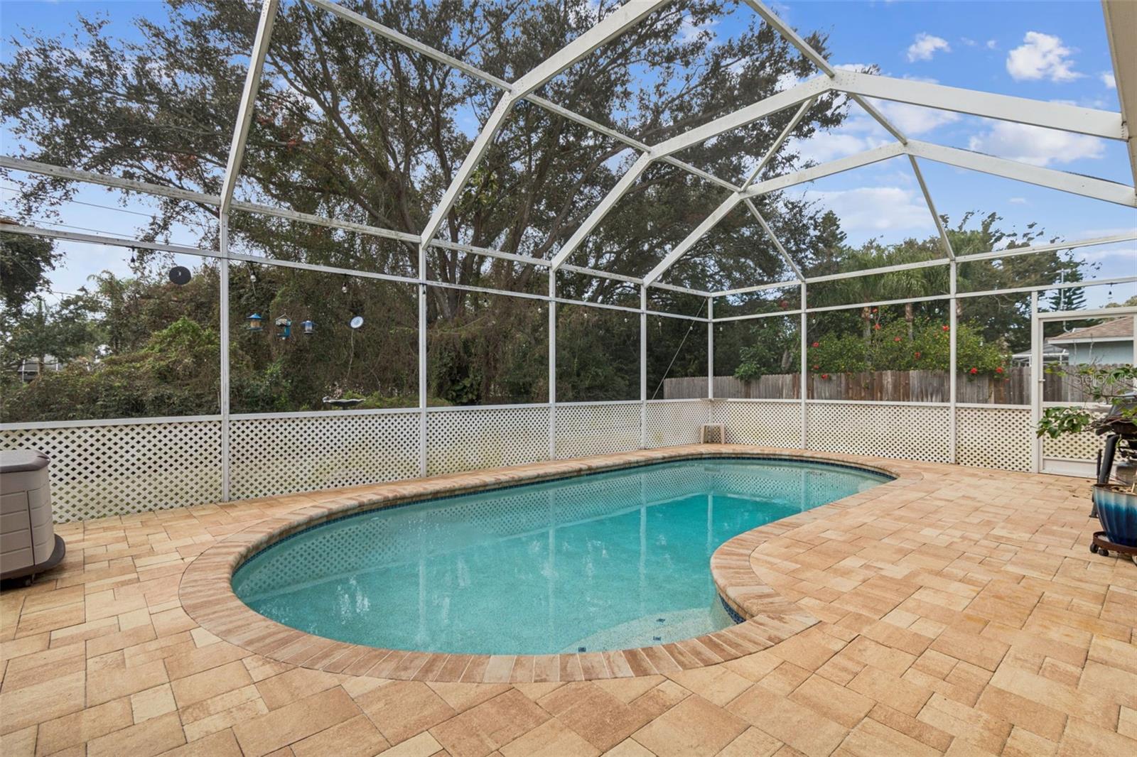 Pool with Screen Cage