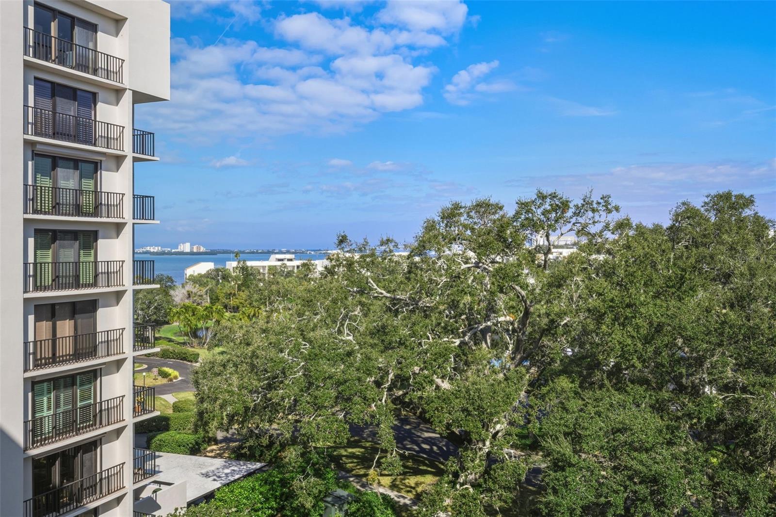 View to the northwest