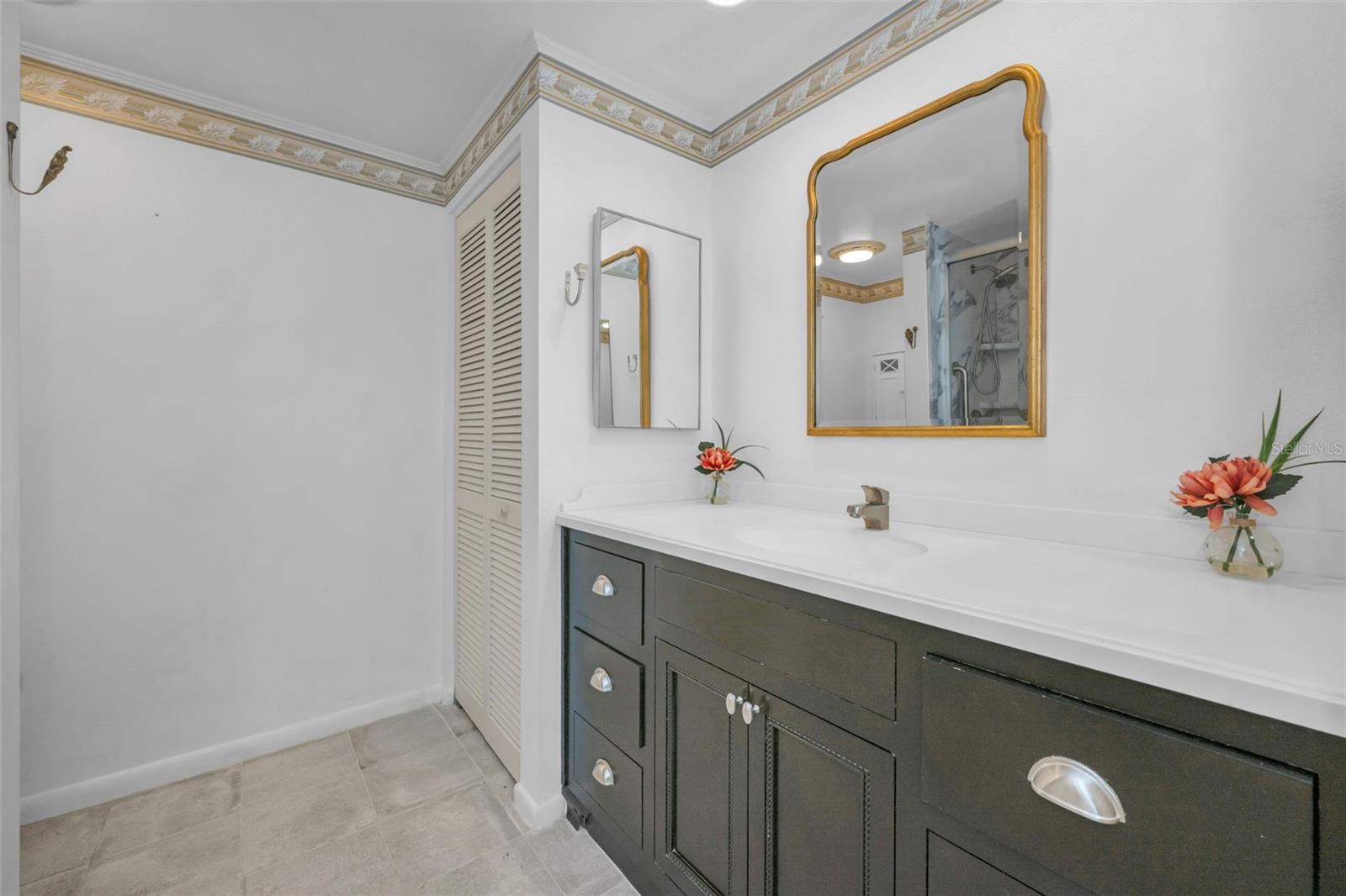 Master bath with walk in shower, tall vanity and linen closet.
