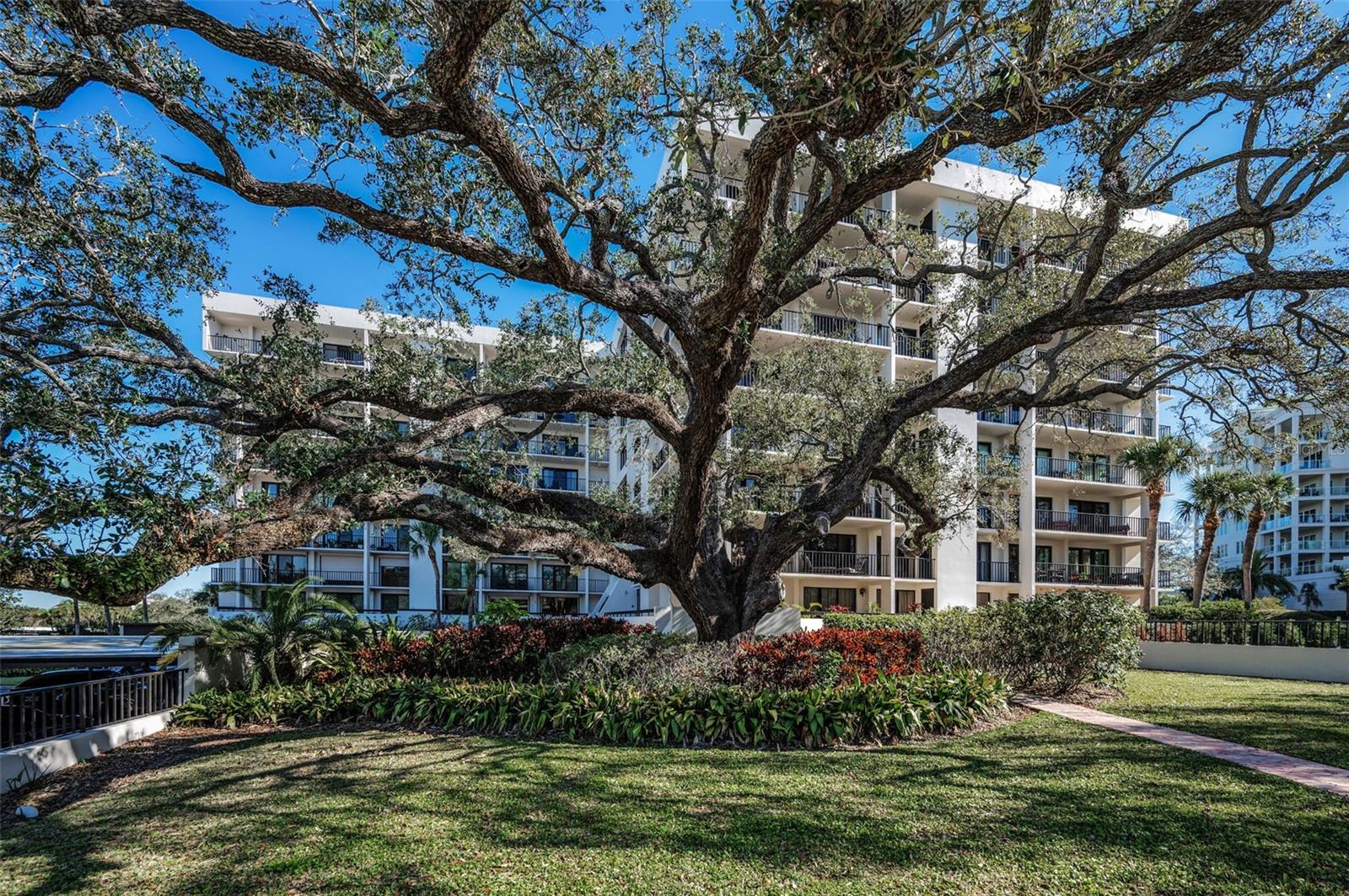 the Oaks, 150 Belleview, spacious lawn around the pool and there is a gas grill there too!
