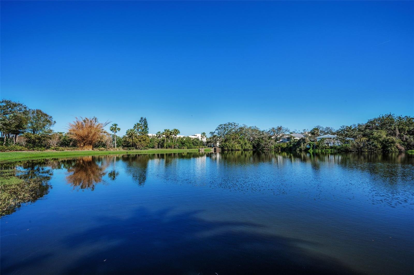 Harold Lake is part of the neighborhood! It's a bird sanctuary and a spillway into the intercoastal.