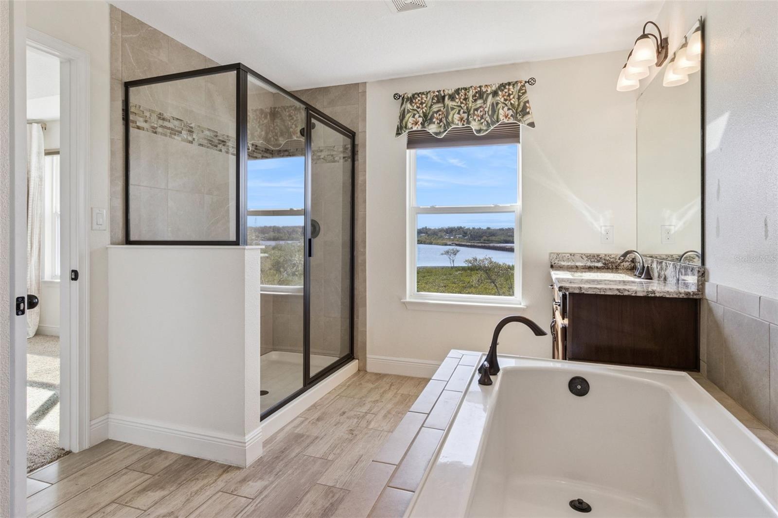 Primary Shower & Tub