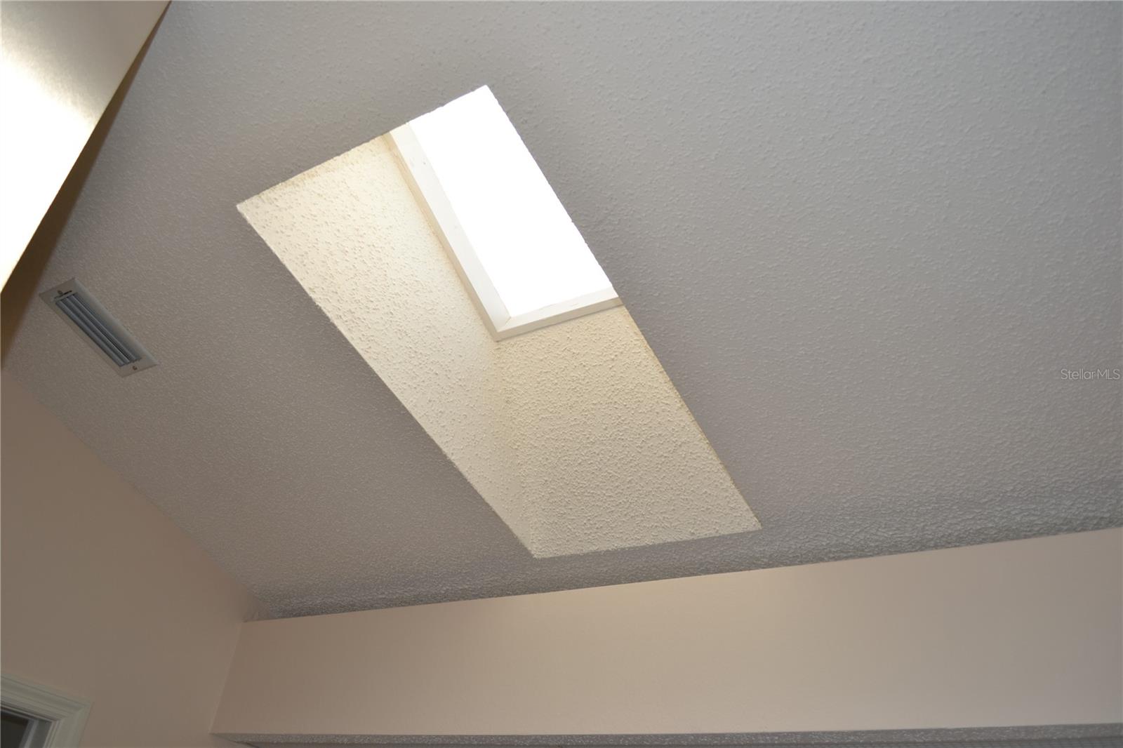 Bathroom skylight