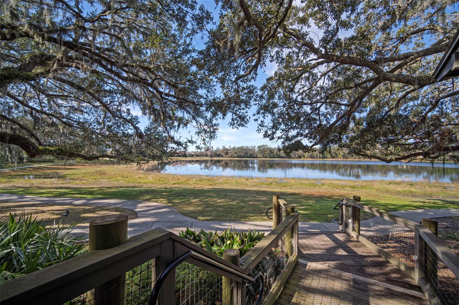 Tranquilty within FishHawk Ranch