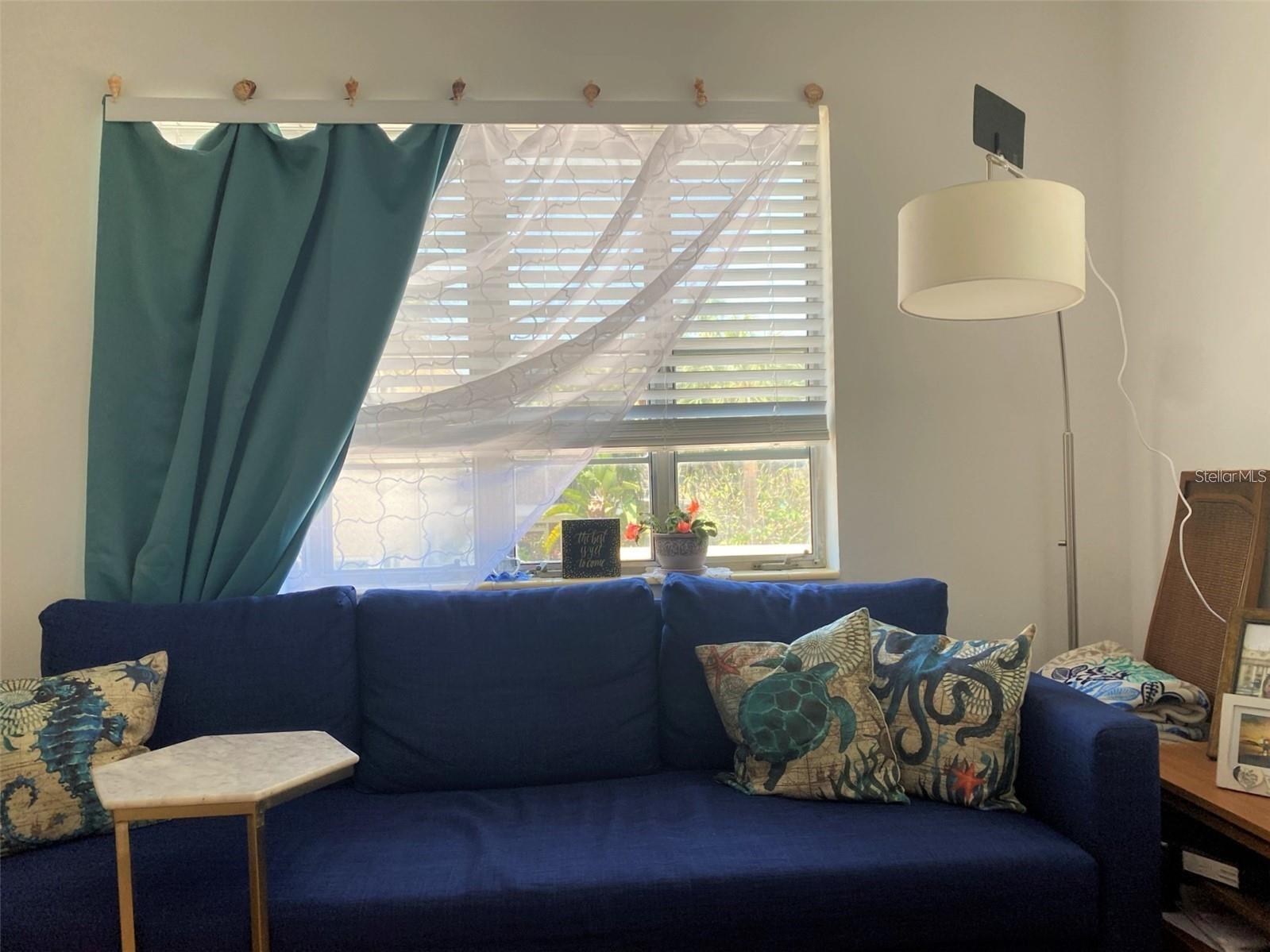 Living Rm w/OLD Windows