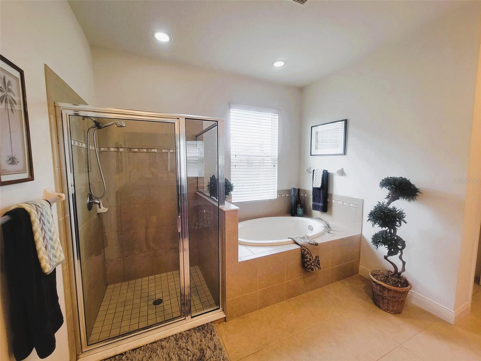 Spa-style primary bath with a separate glass-enclosed shower and oversized soaking tub, complemented by tile flooring and bright natural light for a relaxing retreat.