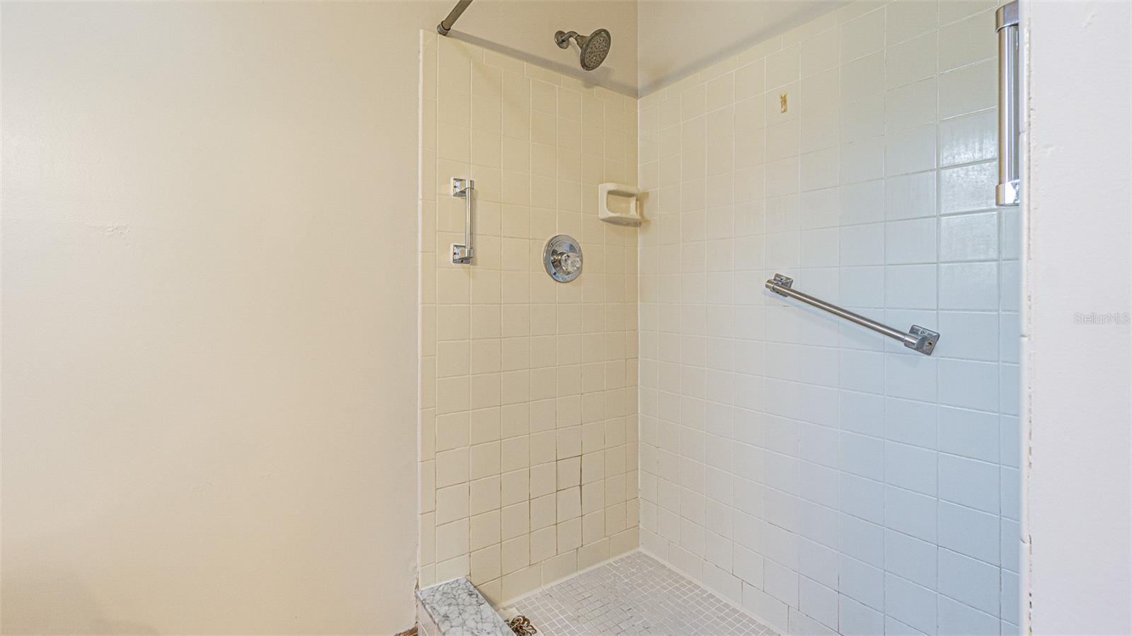 Primary bathroom shower