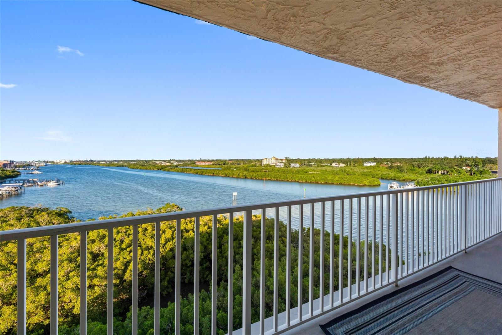 ... Dolphins Love to Train Their Young in the Intracoastal Waterways and the Manatees Love the New Grass That Sprouts every six weeks in Spring & Summer Along out Waterfront. They come by Like Clockwork.