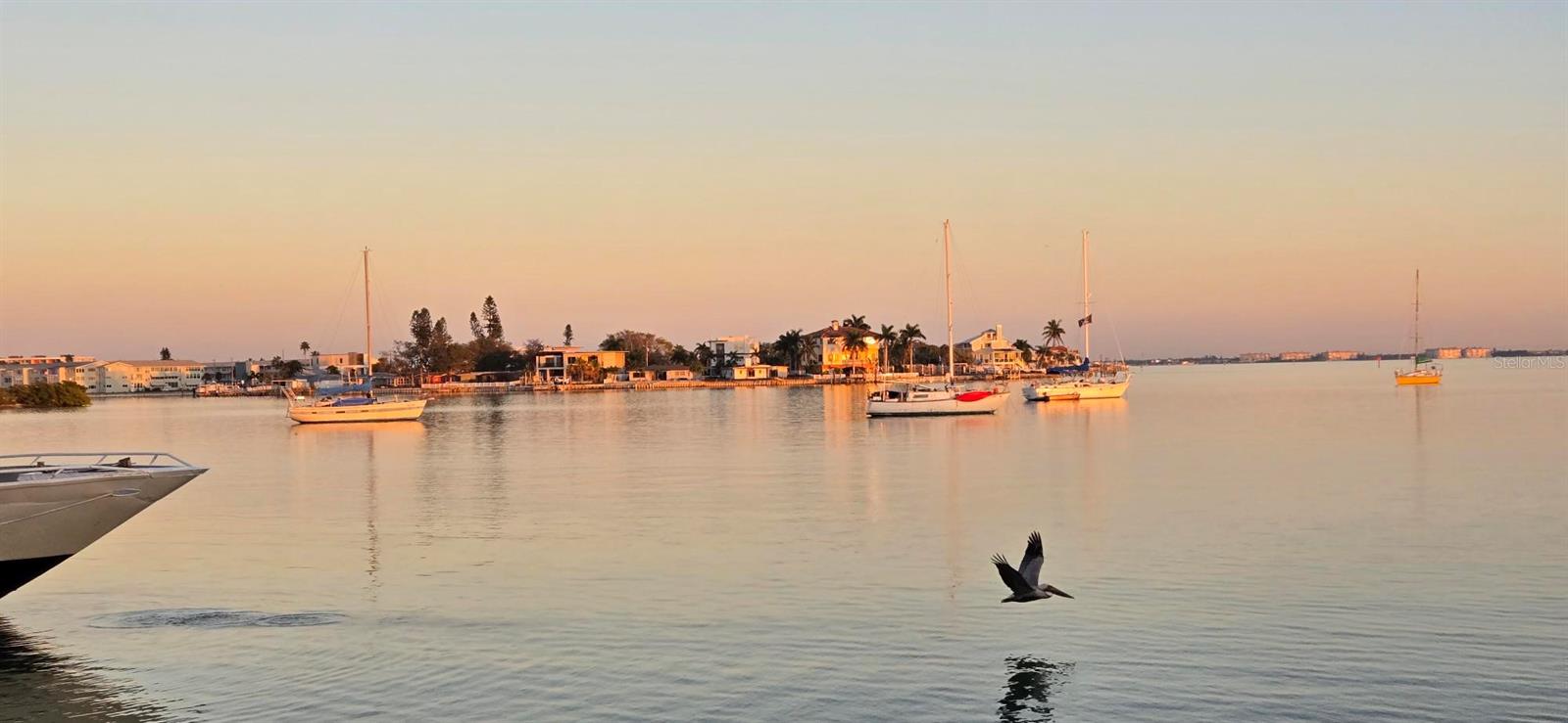 Boats moored on Boca Ciega Bay in South Pasadena.