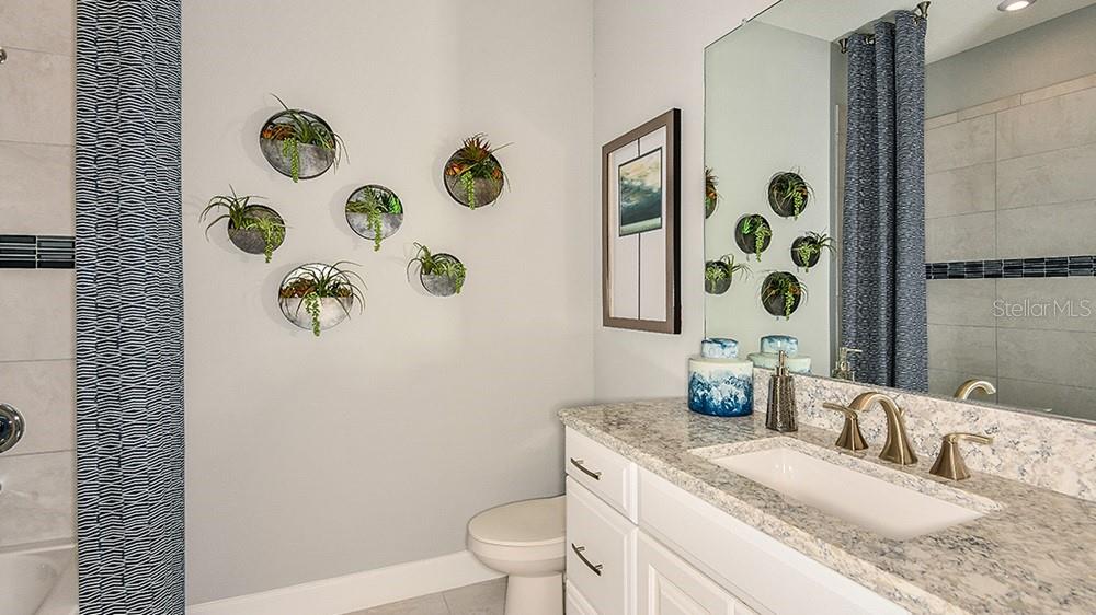 Representative Photo