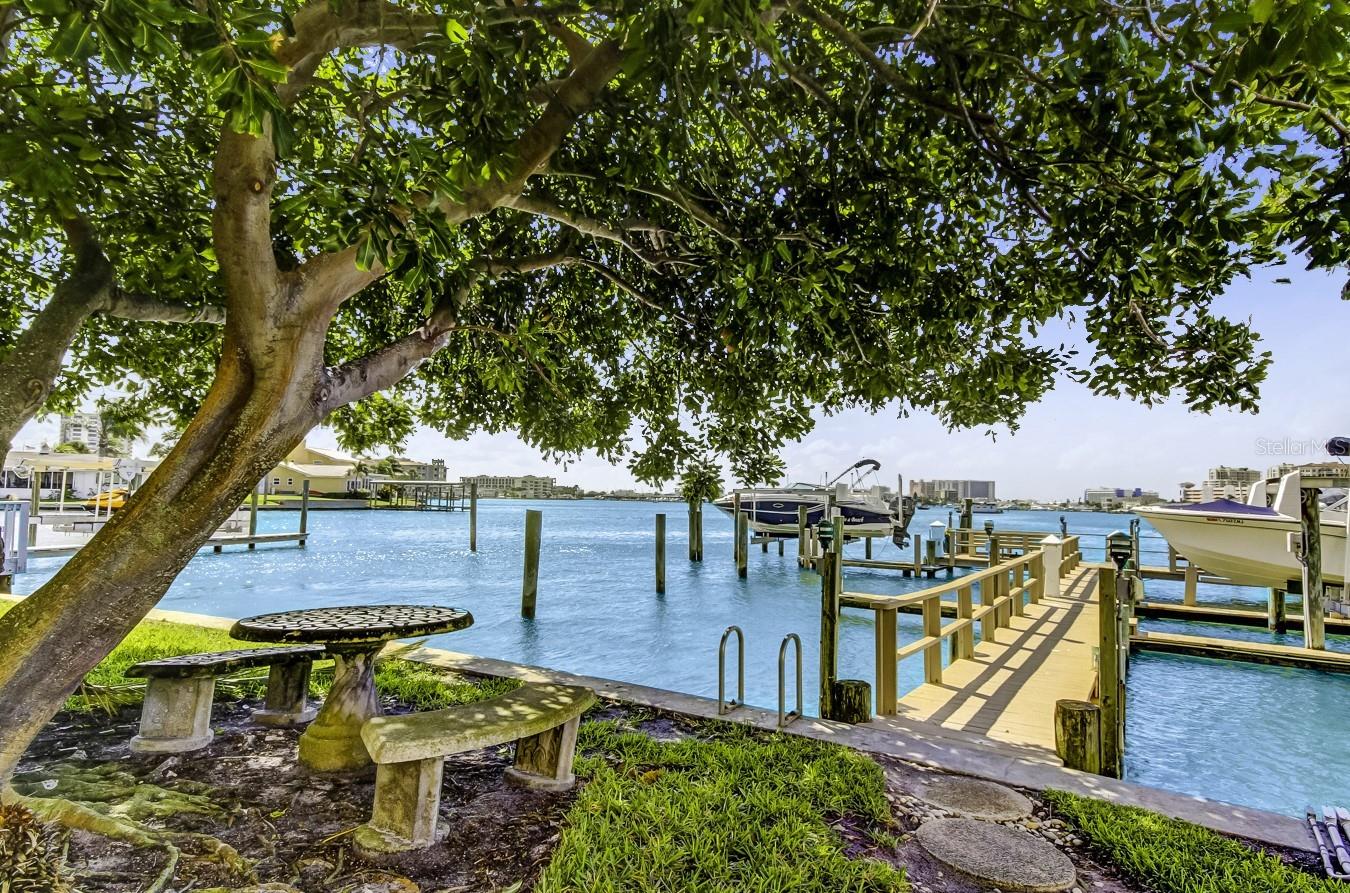 Community dock and marina.