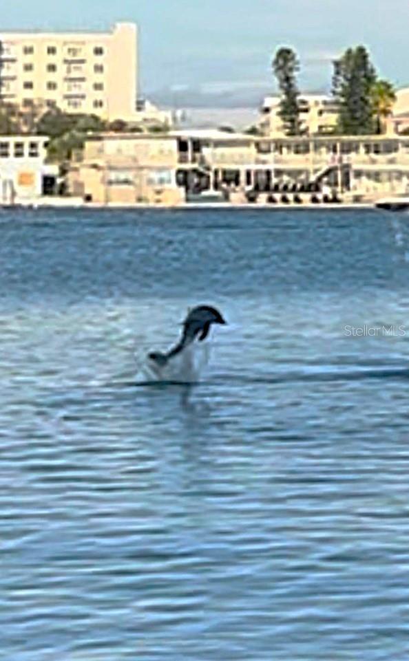 Views from you window.