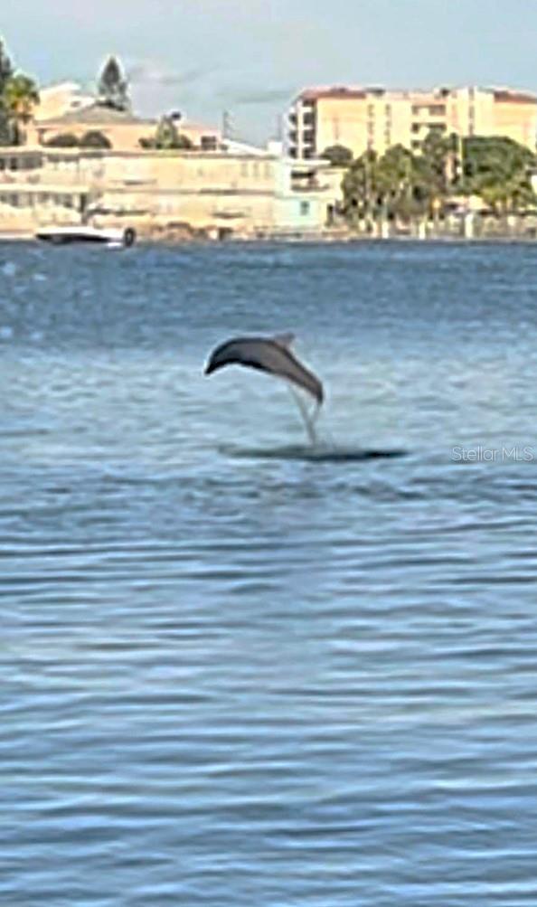 Views from you window.