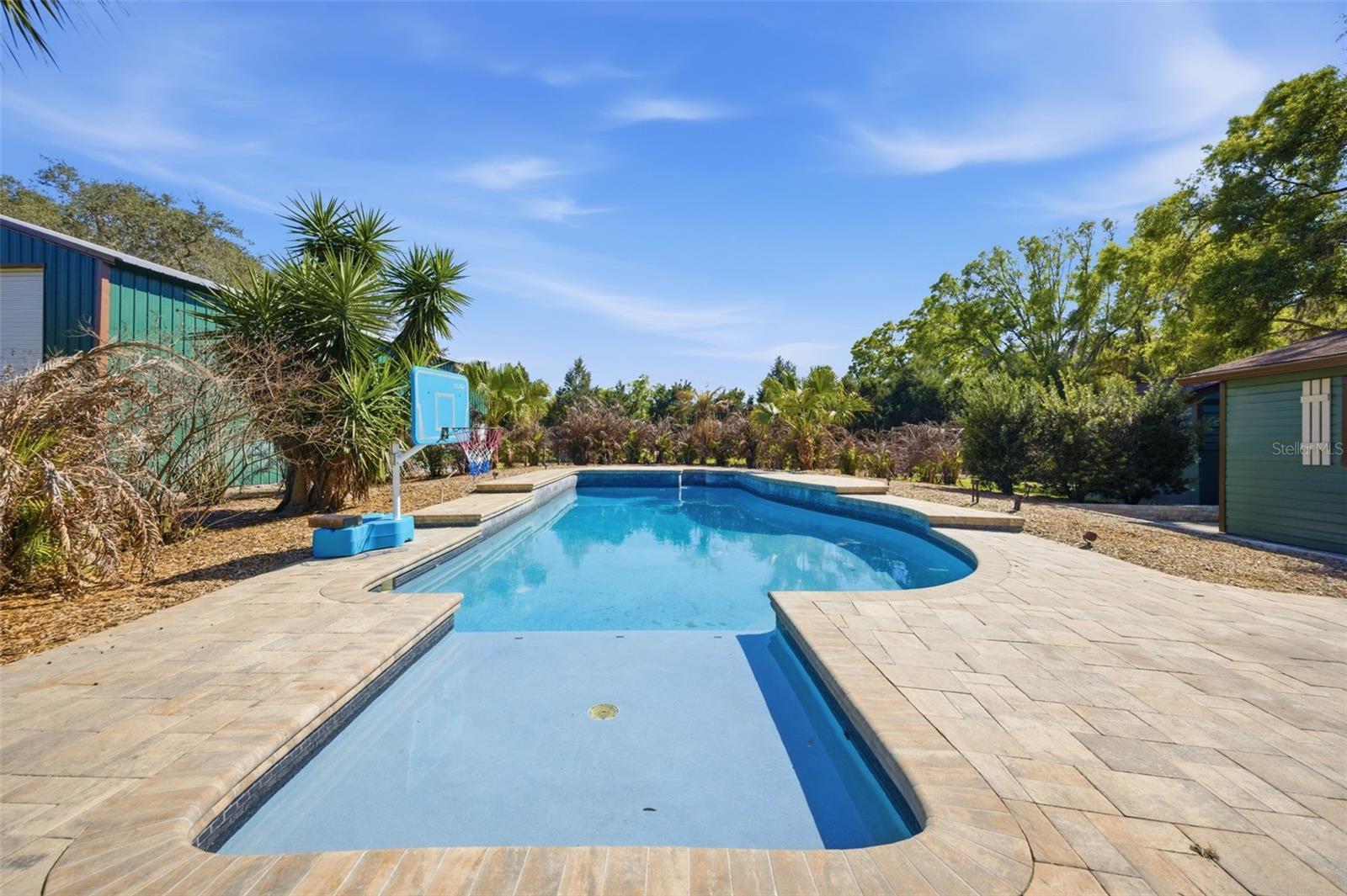 Pool with Sun shelf