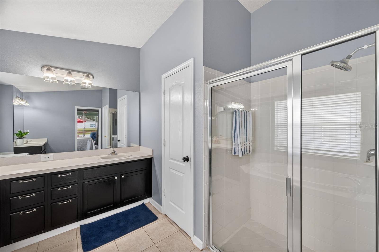 Primary bathroom shower.