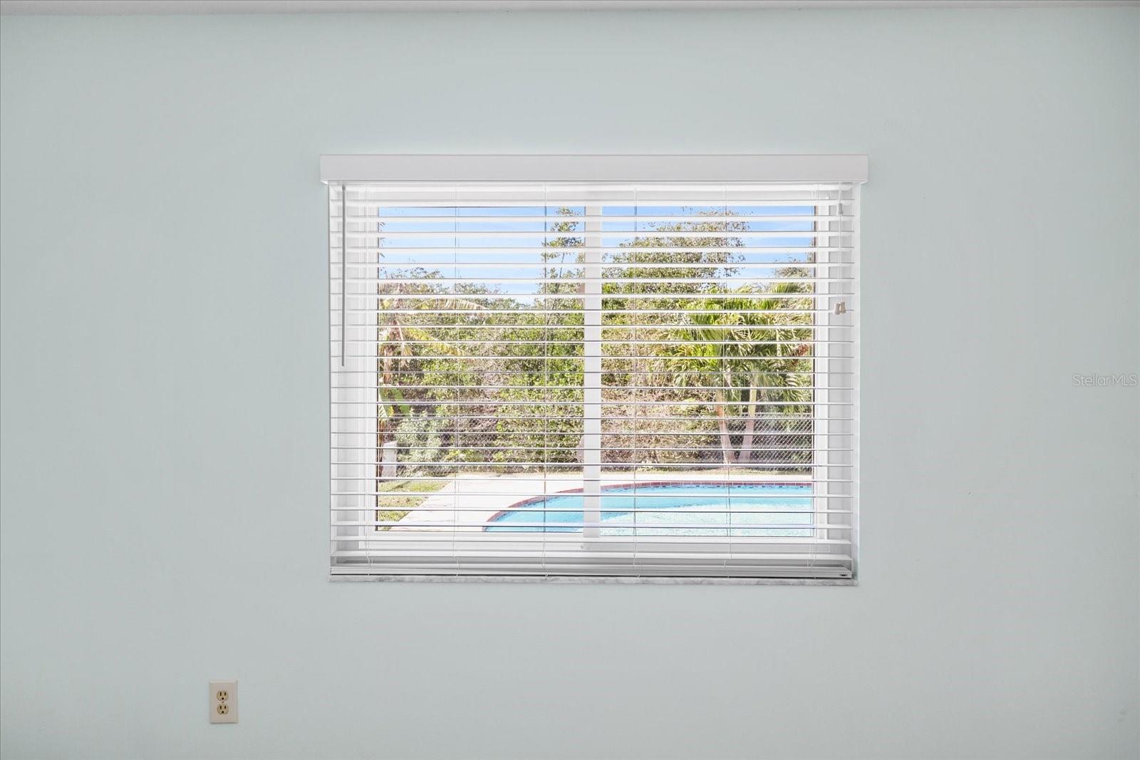 Backyard Preserve & Pool View