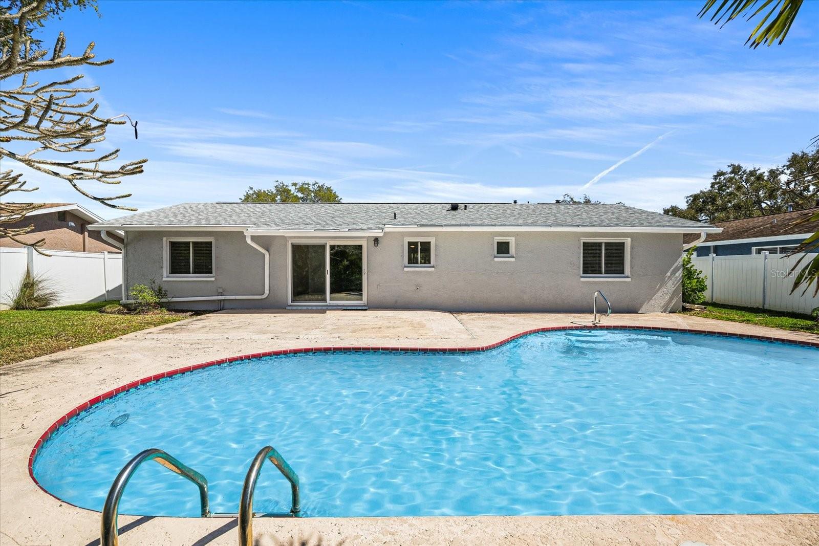 Large Kidney Shape Saltwter Pool