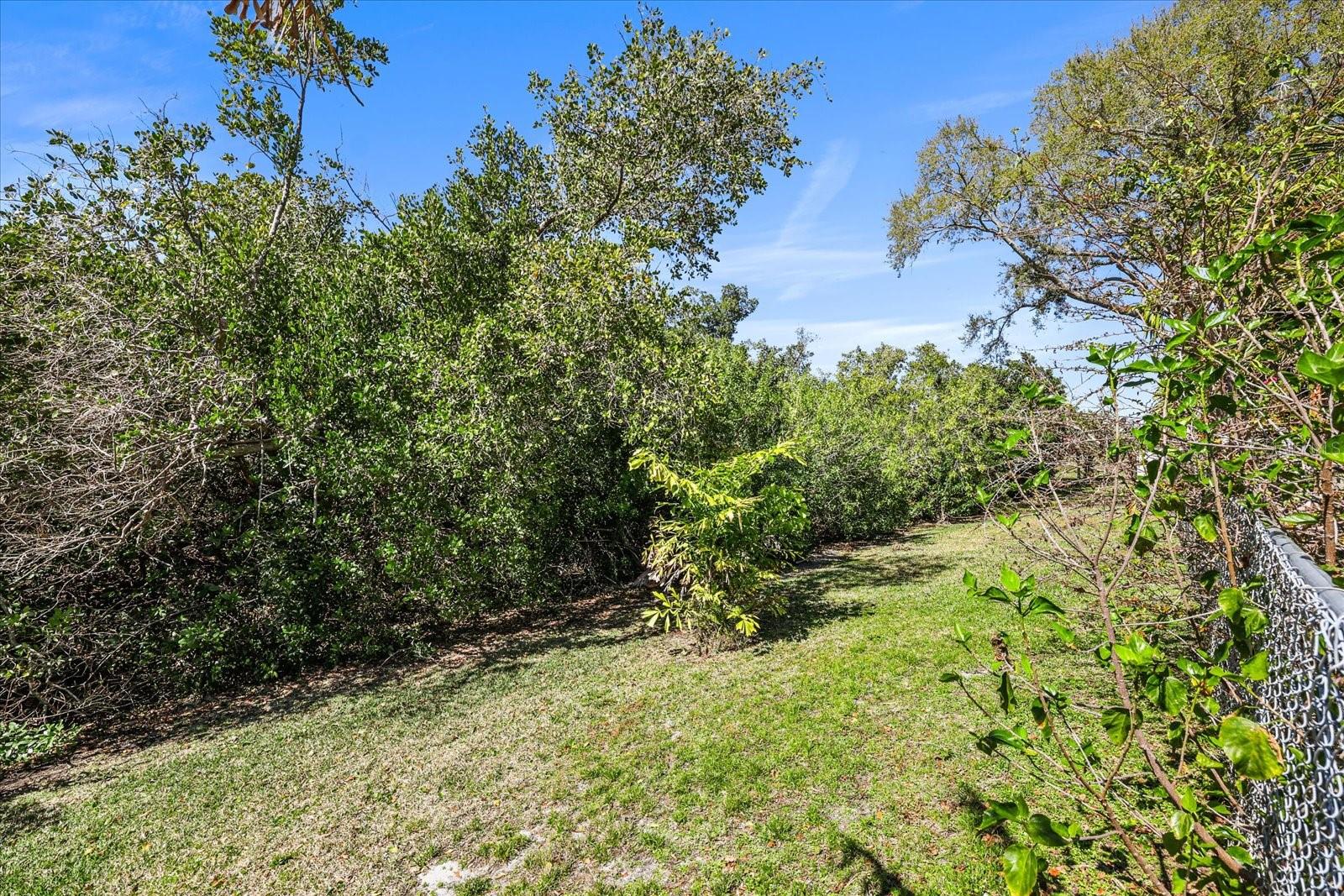 Property backs up to a preserve! Bonus yard space.