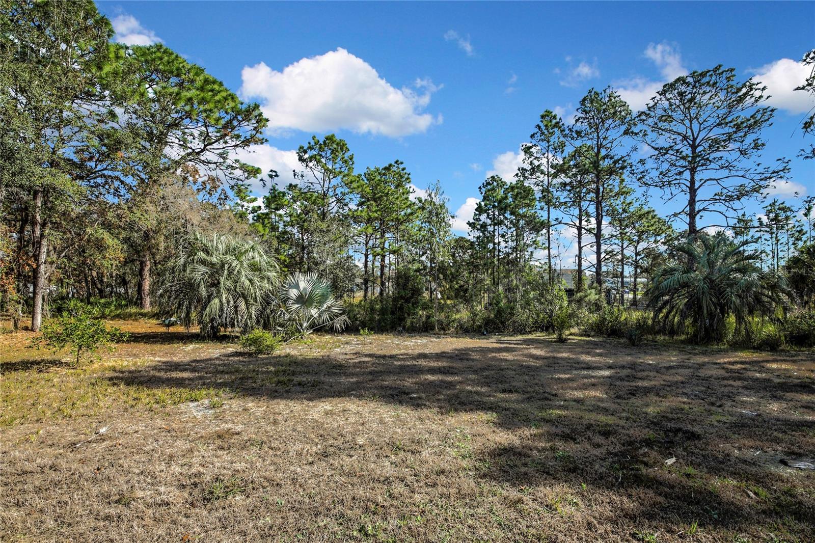 large cleared area in back of land