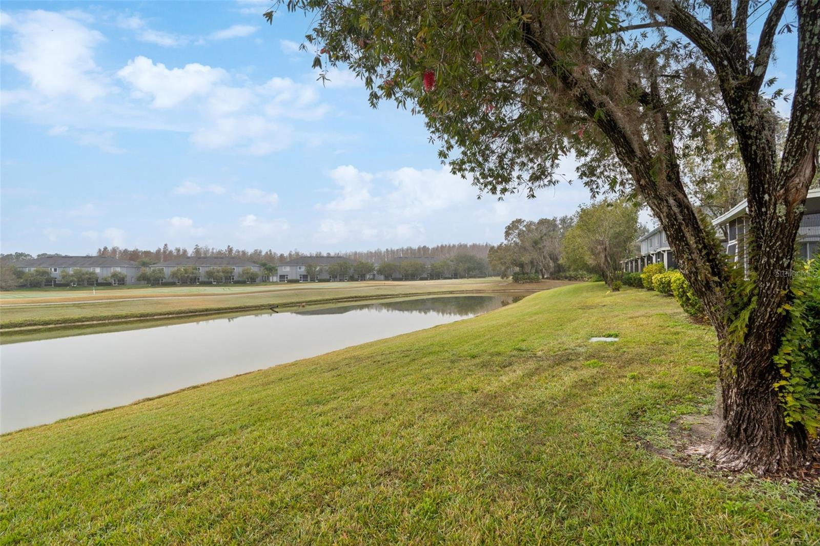 Pond and Golf Course View