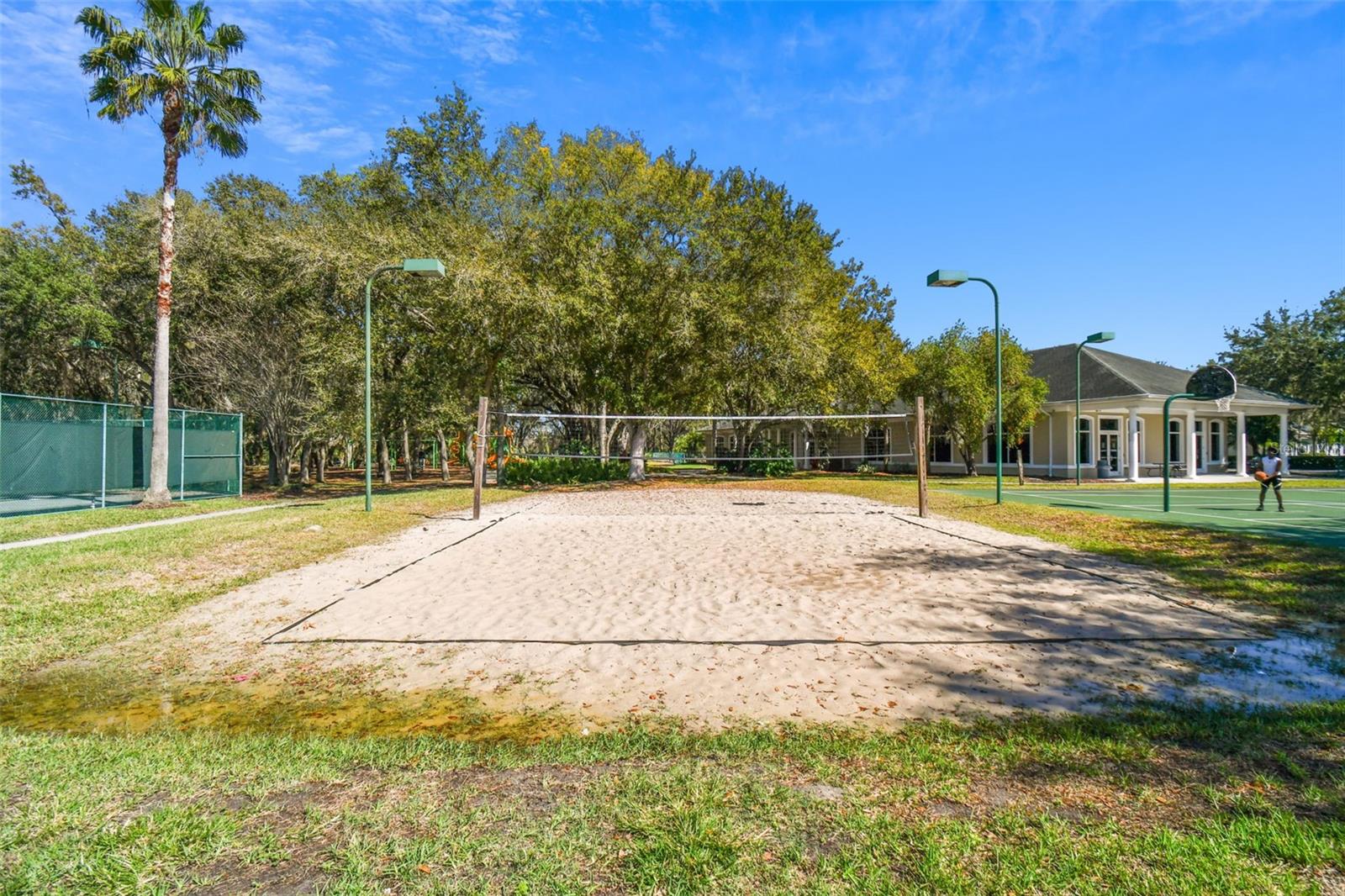 Basketball and Volleyball