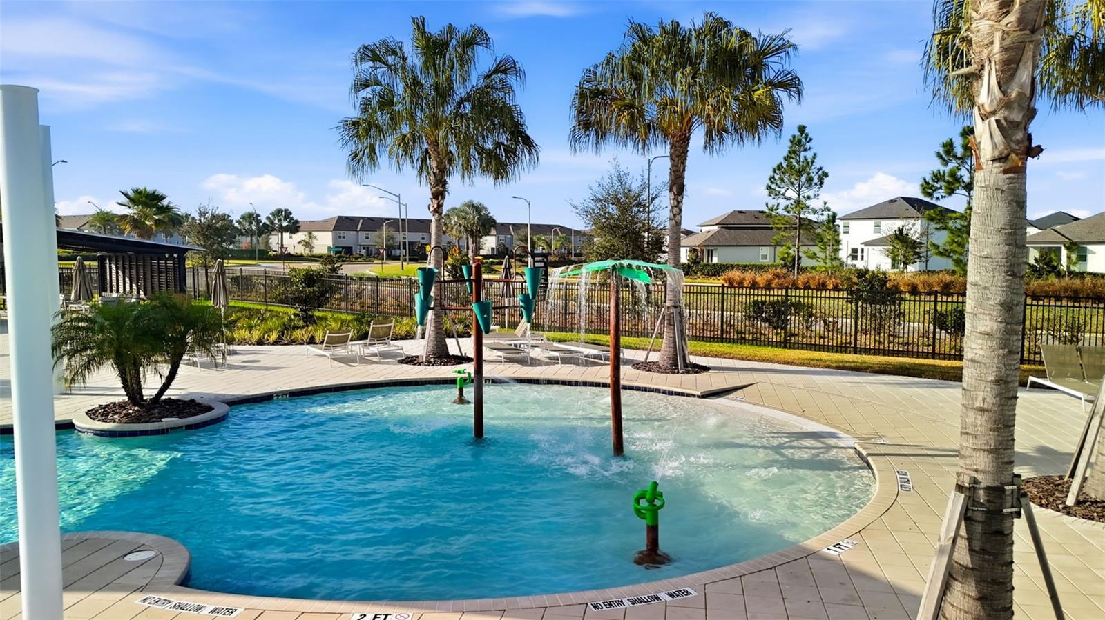 Multiple lounging zones with palm trees, umbrellas, and ample space for sun or shade throughout the day.