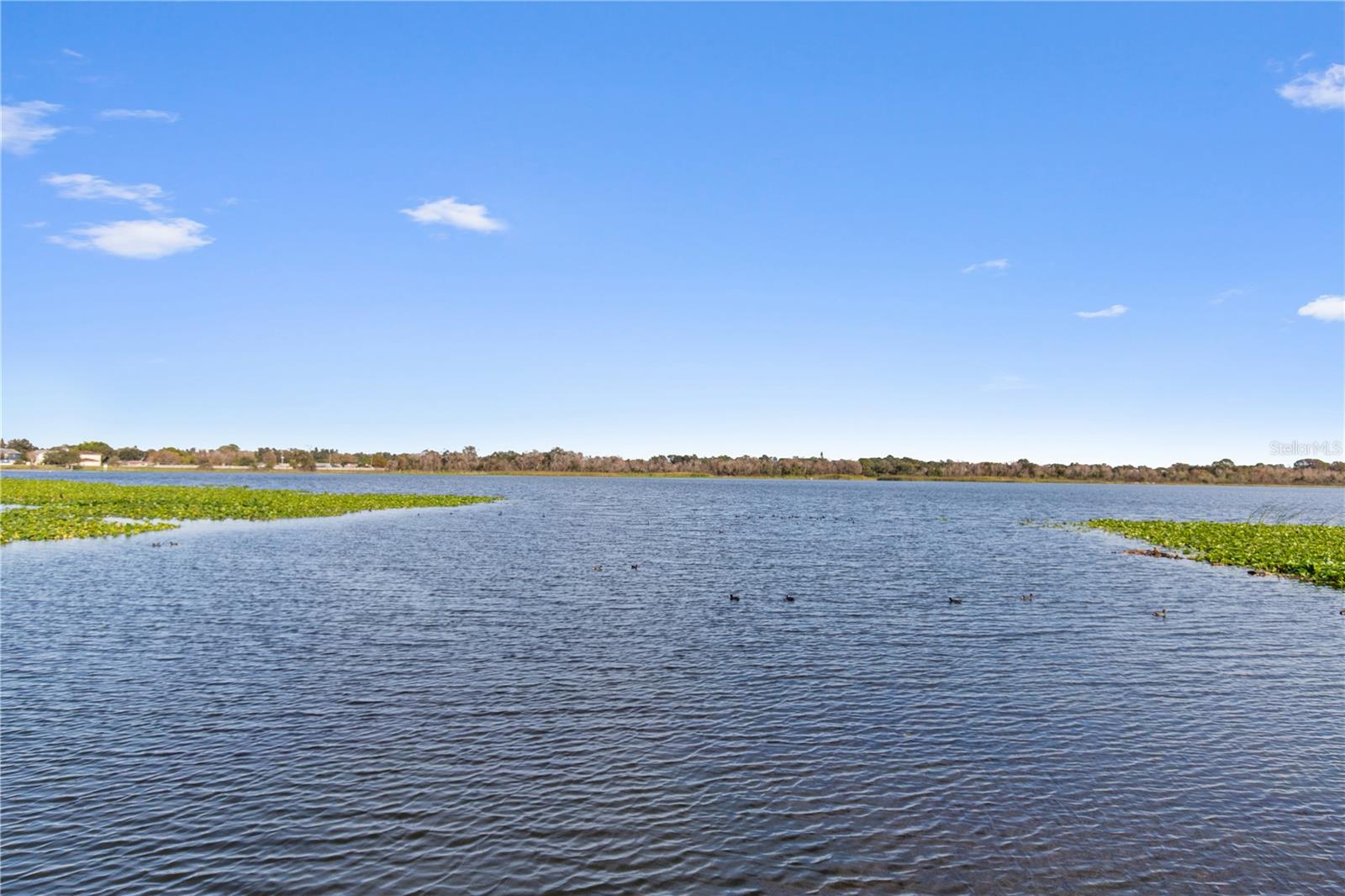Views are stunning. Birds and wildlife at your doorstep