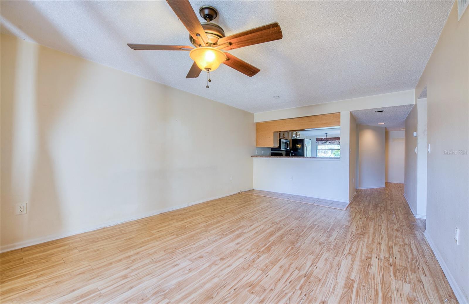 View from Living Room to Kitchen