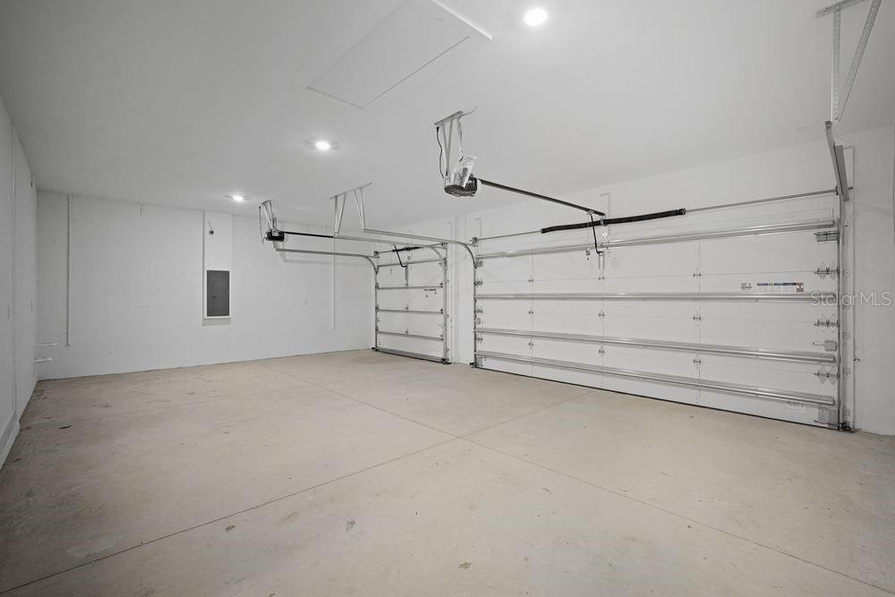 29632 Imperati ~ Ready Now