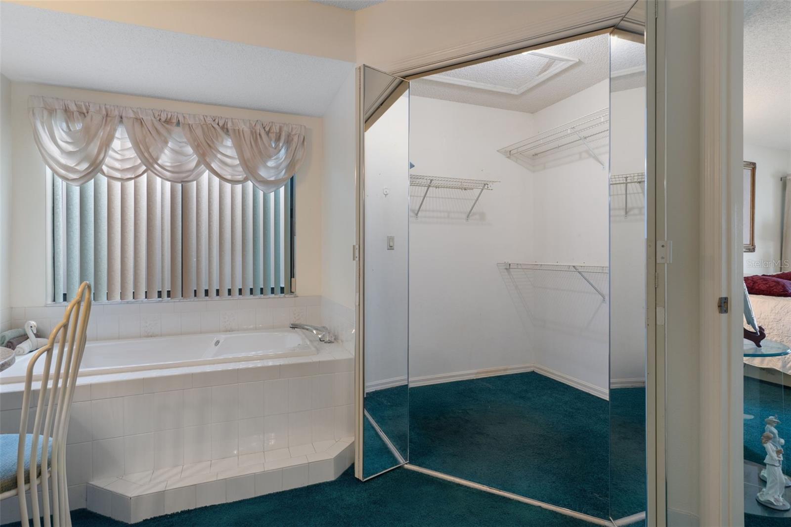 Roomy walk-in closet too!