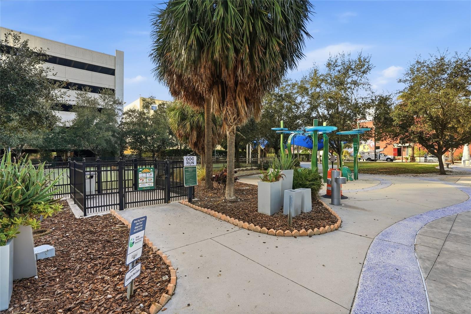 Dog Park off 12th Street