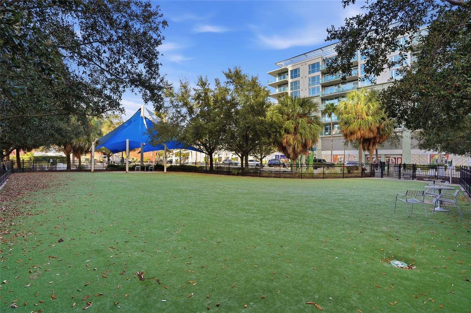 Dog Park off 12th Street