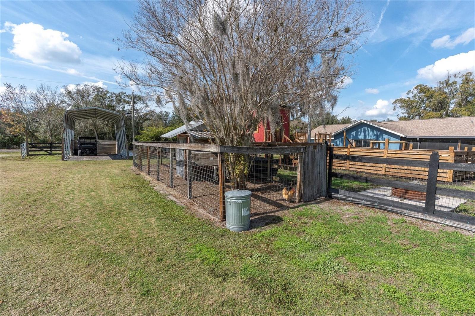 Chicken Coop